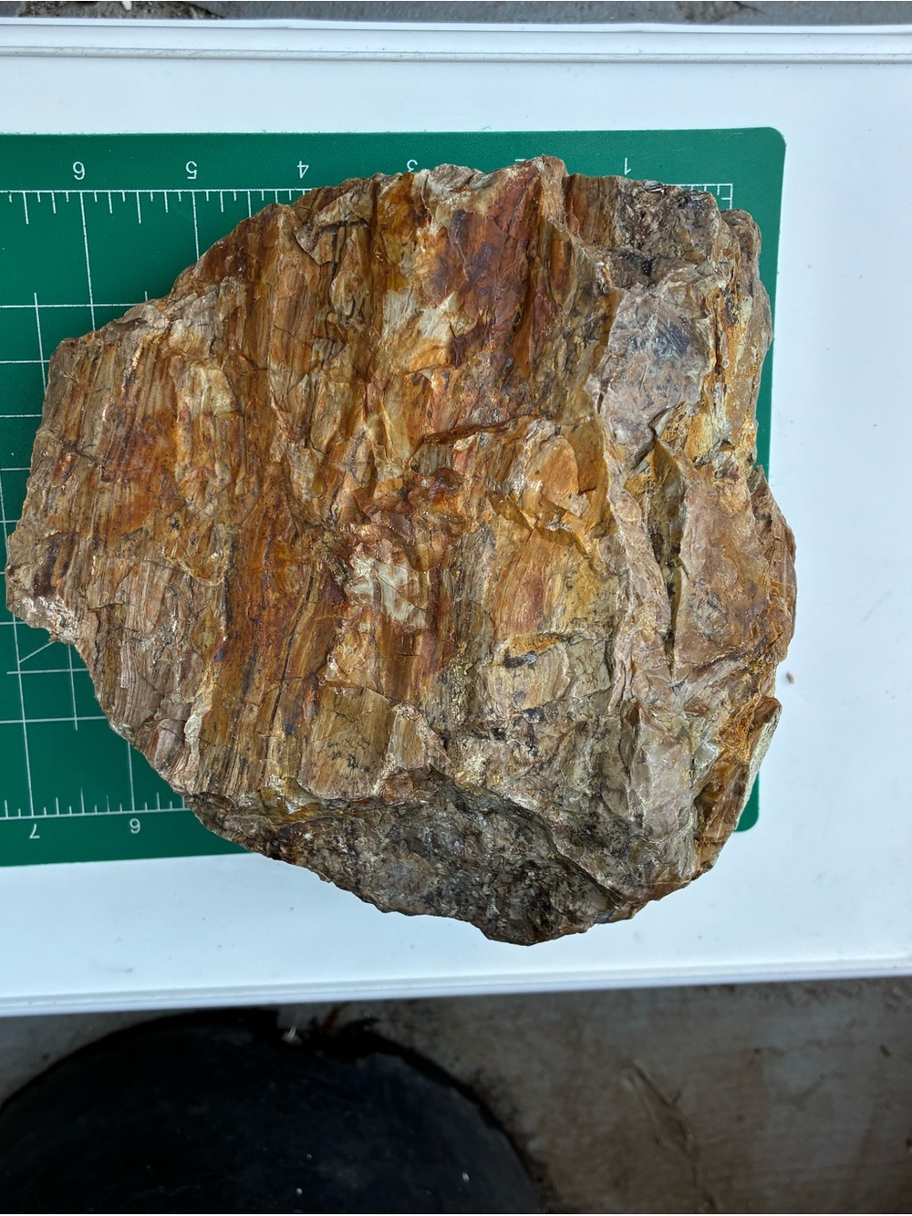 Large Rare Petrified Wood Specimen Rough 6” x7”, Over 5 Lbs - Picture 15 of 16